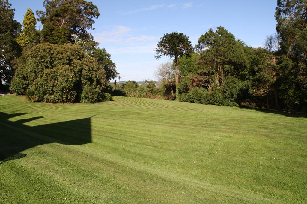 Maranatha Country House Blarney Bilik gambar